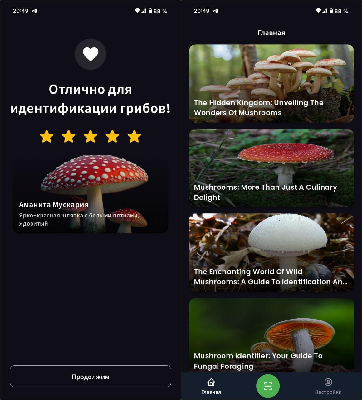 Распознаватель грибов с ИИ. Приложение поможет узнать, что за гриб вы взяли. Распознаватель грибов с ИИ. Приложение поможет узнать, что за гриб вы взяли. Фото.