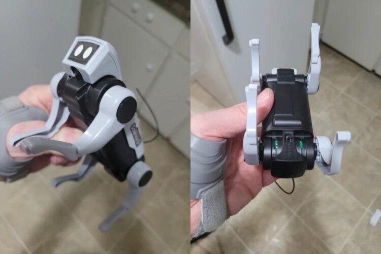 Недорогая робособака с AliExpress. Робособака за сущие копейки. Недорогая робособака с AliExpress. Робособака за сущие копейки. Фото.