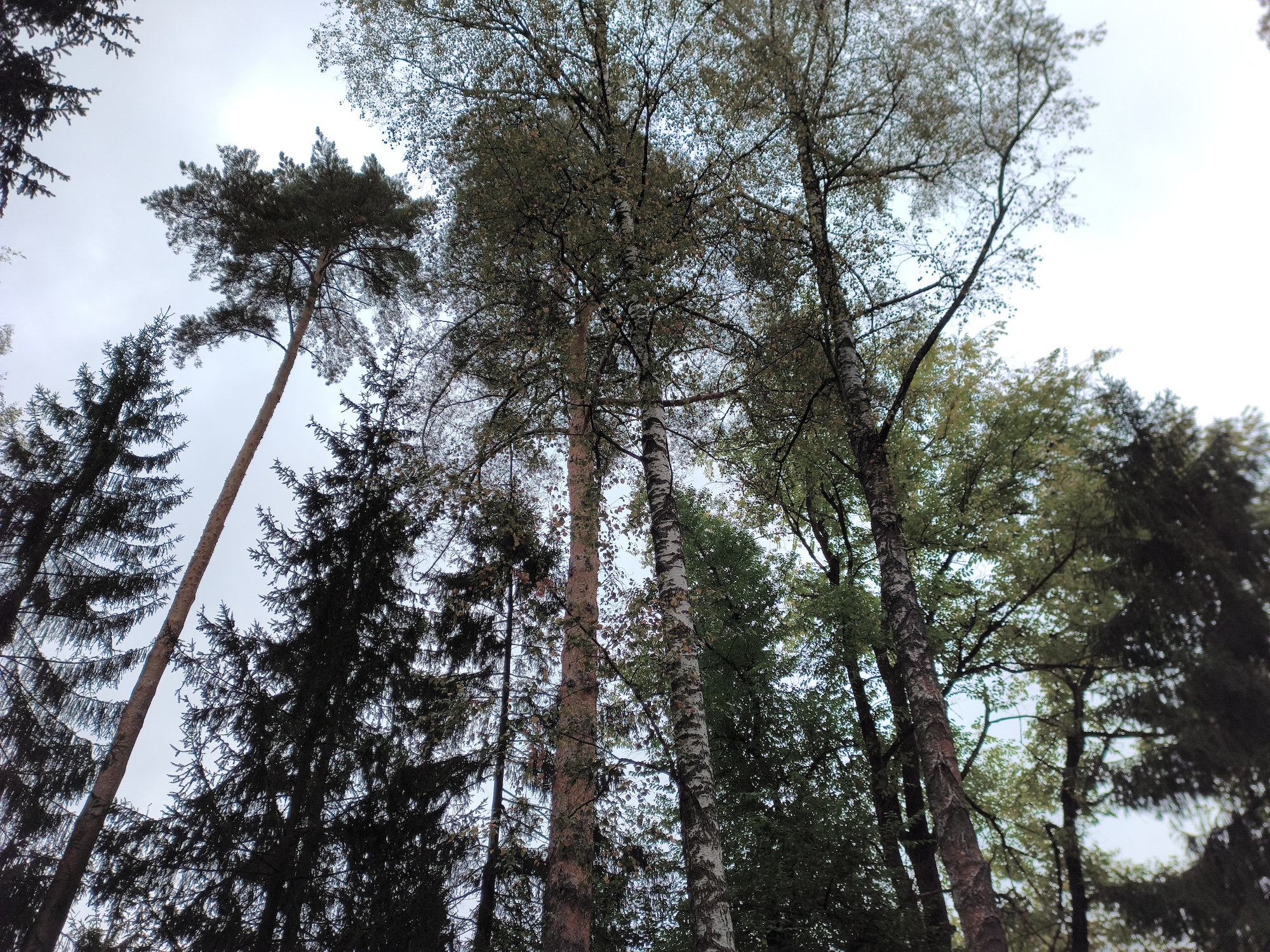 С ним хоть в поход, хоть в офис. Обзор Doogee S200 Ultra с батареей на 11000 мАч и 1 ТБ памяти. Как снимает Doogee S200 Ultra. Фото.