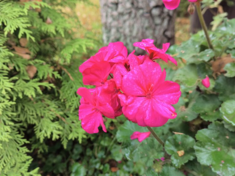 С ним хоть в поход, хоть в офис. Обзор Doogee S200 Ultra с батареей на 11000 мАч и 1 ТБ памяти. Как снимает Doogee S200 Ultra. Фото.