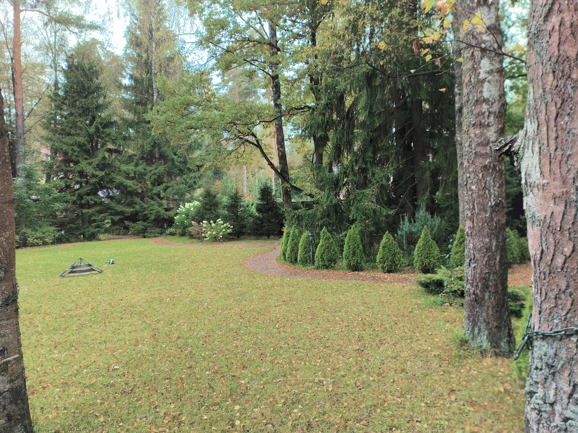 С ним хоть в поход, хоть в офис. Обзор Doogee S200 Ultra с батареей на 11000 мАч и 1 ТБ памяти. Как снимает Doogee S200 Ultra. Фото.