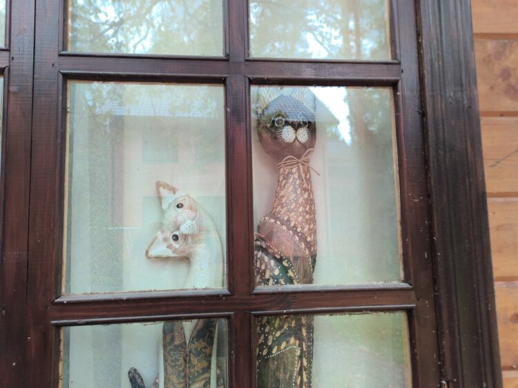 С ним хоть в поход, хоть в офис. Обзор Doogee S200 Ultra с батареей на 11000 мАч и 1 ТБ памяти. Как снимает Doogee S200 Ultra. Фото.