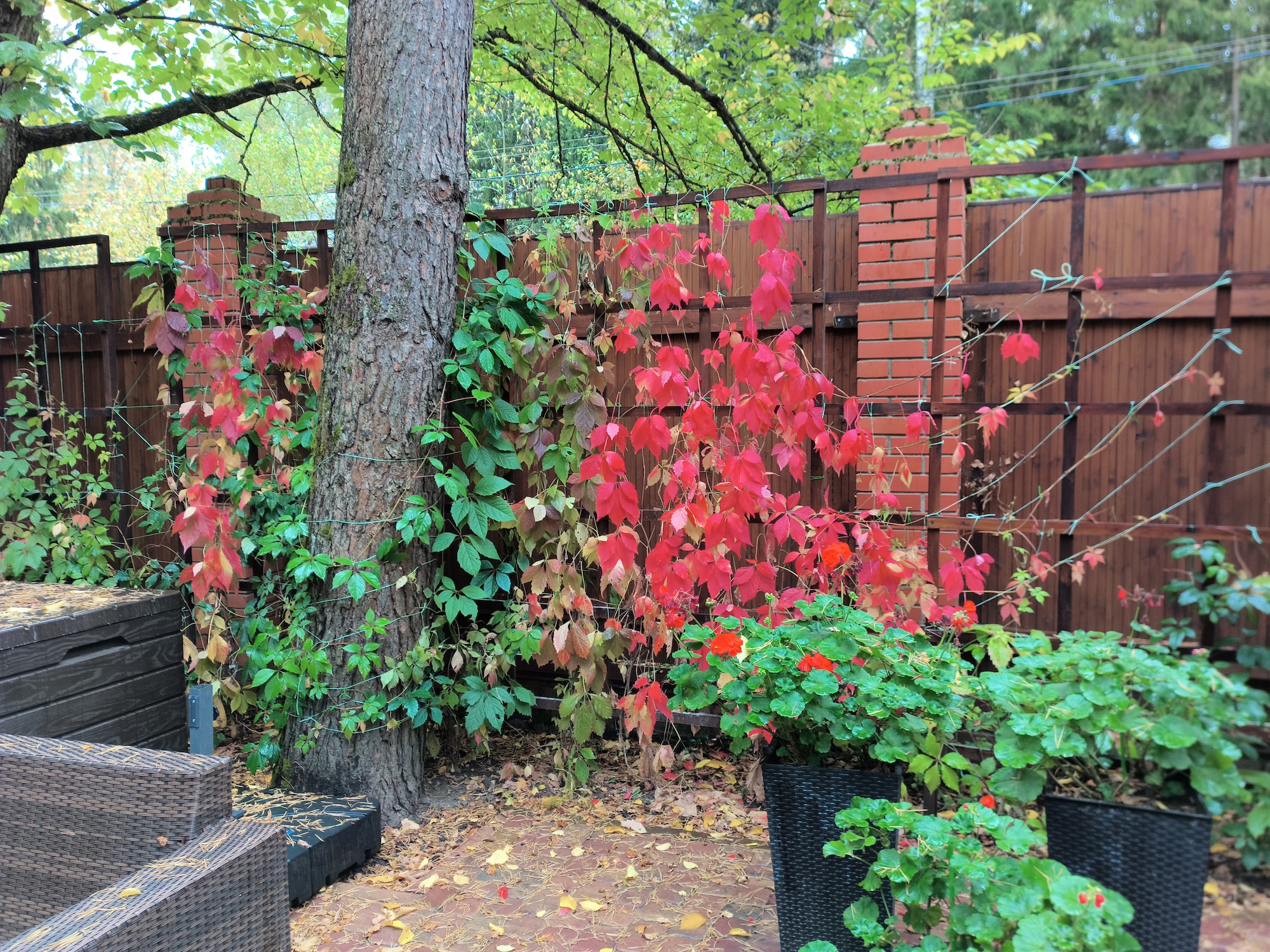 С ним хоть в поход, хоть в офис. Обзор Doogee S200 Ultra с батареей на 11000 мАч и 1 ТБ памяти. Как снимает Doogee S200 Ultra. Фото.