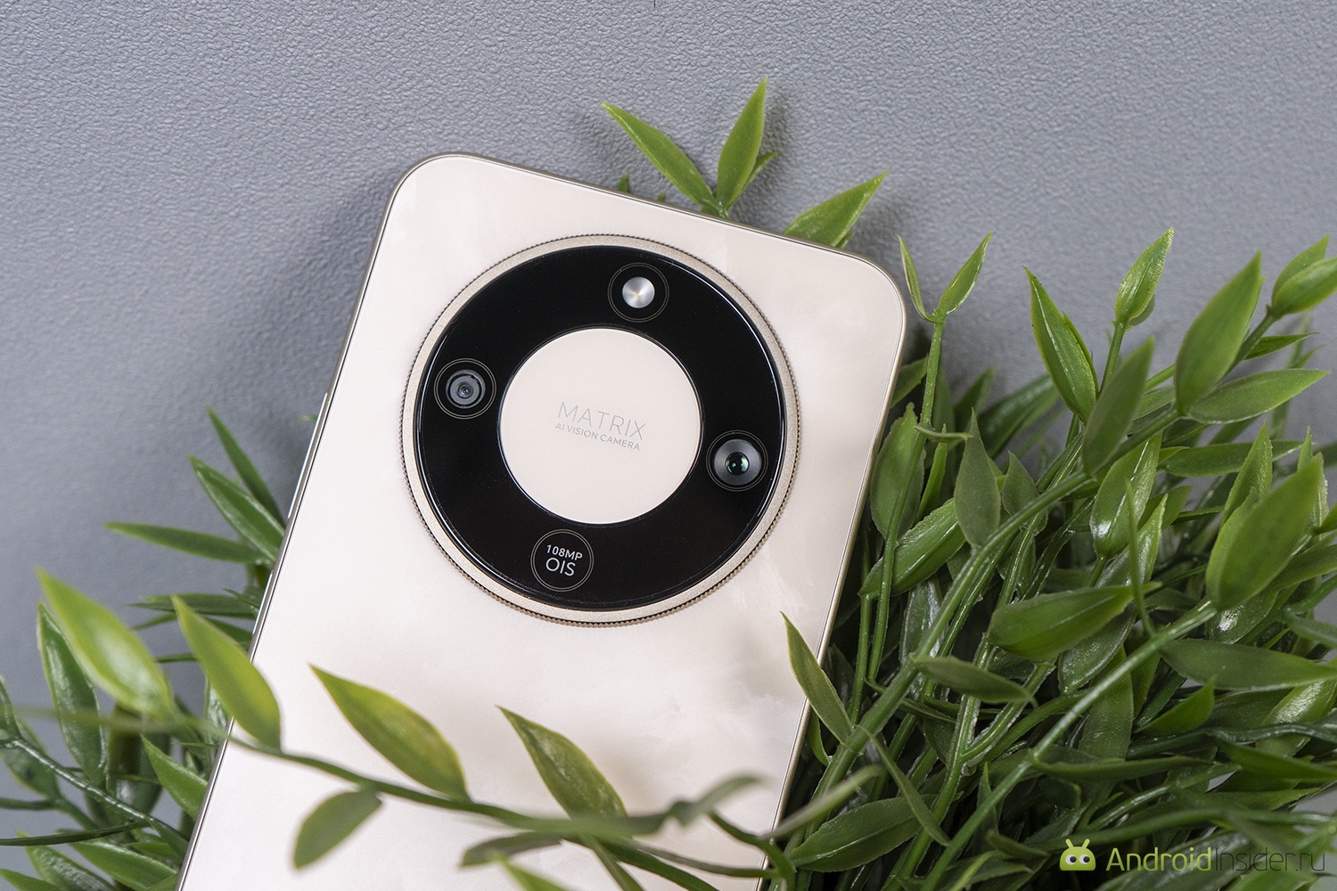 Как снимает HONOR X9d. Привычный в наше время круглый модуль камеры. Фото.