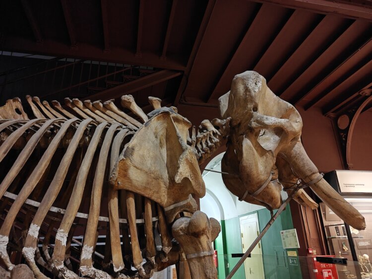 Смартфон с большой батареей, который не боится солнца: обзор realme 15 Pro. Как снимает realme 15 Pro. Смартфон с большой батареей, который не боится солнца: обзор realme 15 Pro. Как снимает realme 15 Pro. Фото.