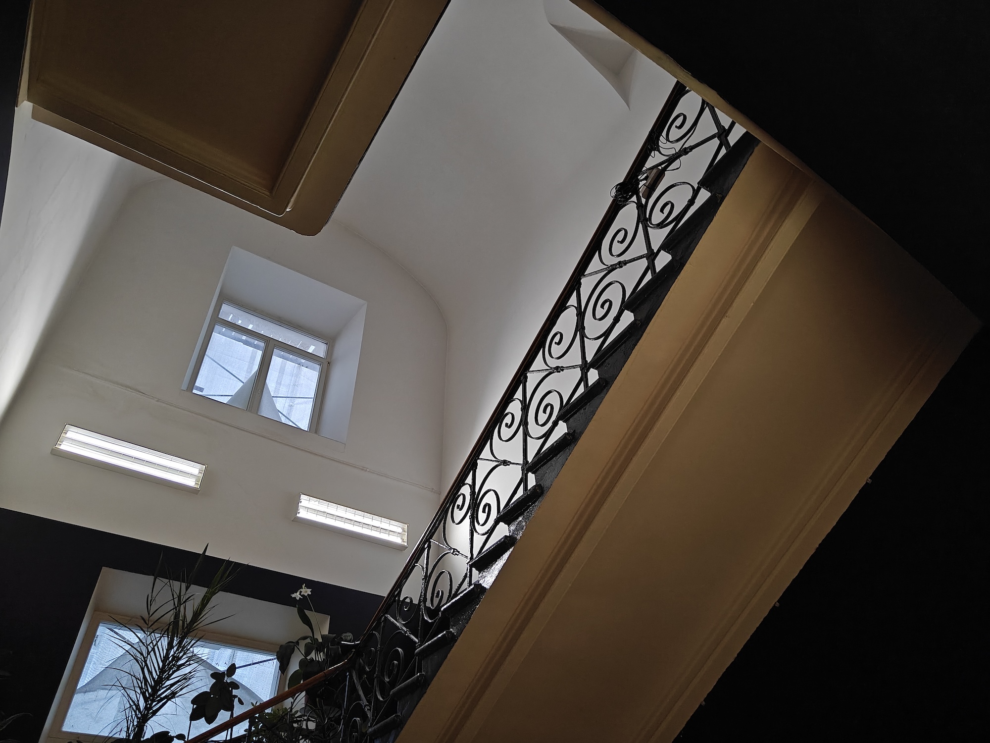 Смартфон с большой батареей, который не боится солнца: обзор realme 15 Pro. Как снимает realme 15 Pro. Фото.