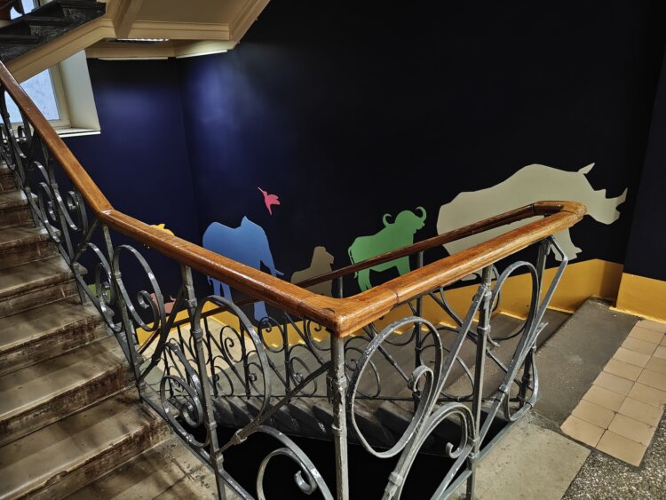 Смартфон с большой батареей, который не боится солнца: обзор realme 15 Pro. Как снимает realme 15 Pro. Смартфон с большой батареей, который не боится солнца: обзор realme 15 Pro. Как снимает realme 15 Pro. Фото.