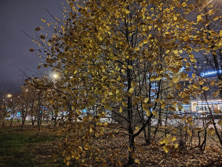 Смартфон с большой батареей, который не боится солнца: обзор realme 15 Pro. Как снимает realme 15 Pro. Смартфон с большой батареей, который не боится солнца: обзор realme 15 Pro. Как снимает realme 15 Pro. Фото.