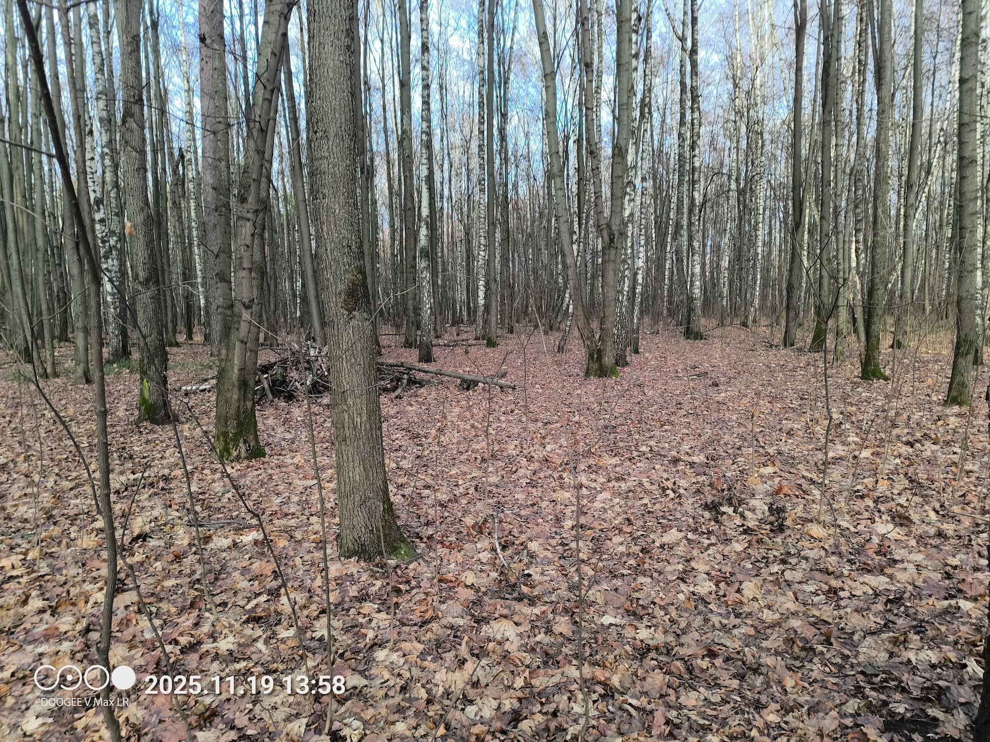 Дикий смартфон с лазерным дальномером и фонарем для кемпинга. Обзор Doogee V Max LR. Как снимает Doogee V Max LR. Дикий смартфон с лазерным дальномером и фонарем для кемпинга. Обзор Doogee V Max LR. Как снимает Doogee V Max LR. Фото.