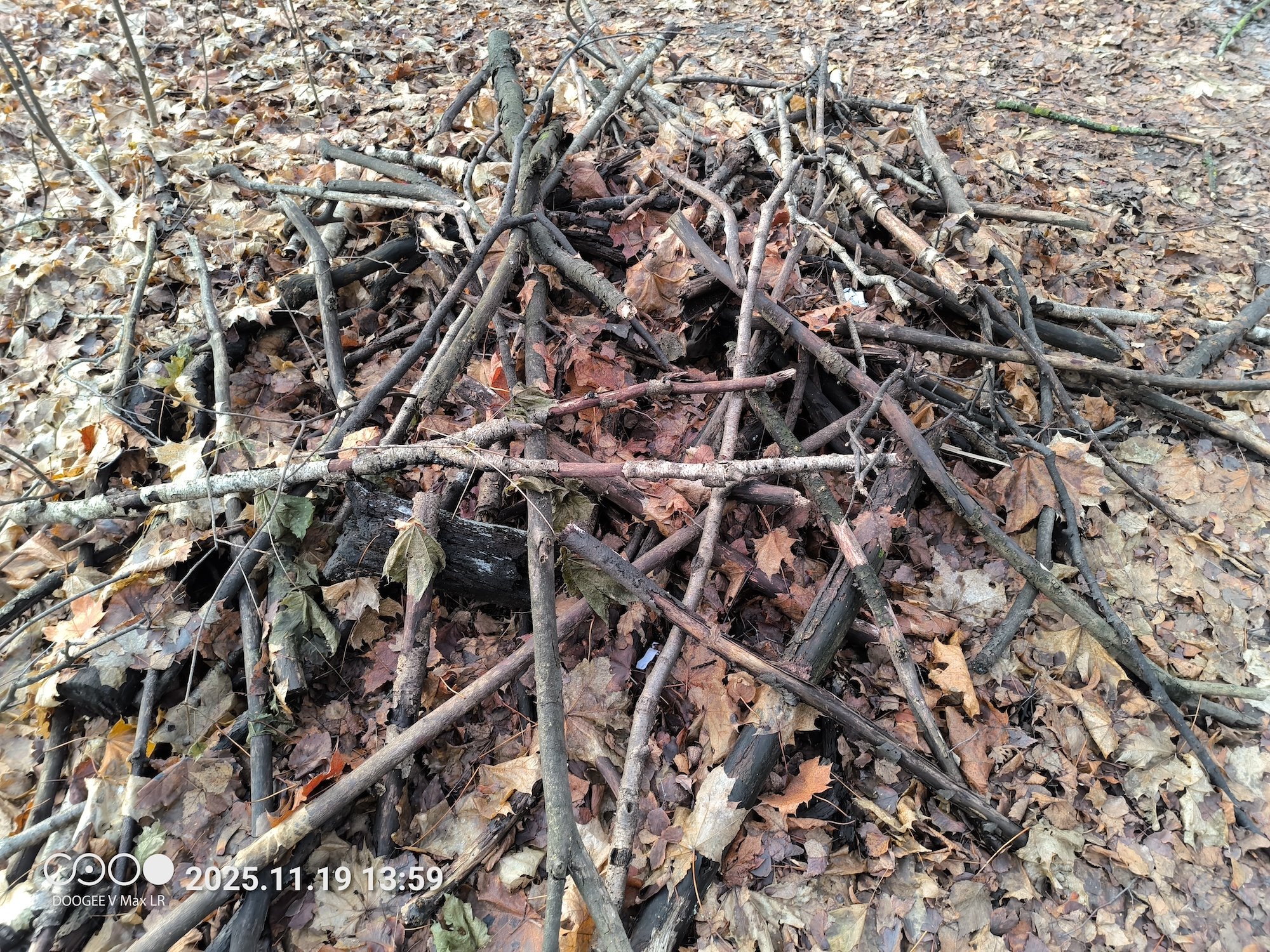 Дикий смартфон с лазерным дальномером и фонарем для кемпинга. Обзор Doogee V Max LR. Как снимает Doogee V Max LR. Дикий смартфон с лазерным дальномером и фонарем для кемпинга. Обзор Doogee V Max LR. Как снимает Doogee V Max LR. Фото.