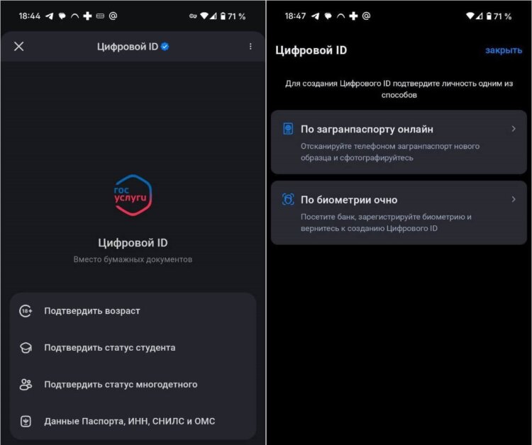 Что такое национальный мессенджер. В MAX уже есть цифровой аналог паспорта. Фото.
