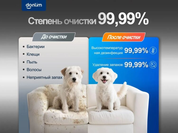 Наконец нашёл лучший подарок на Новый год: машинка Donlim очищает всё — от ковров и обуви до штор и мебели. Машинка удаляет паром не только загрязнения, но и вредные микроорганизмы. Фото.