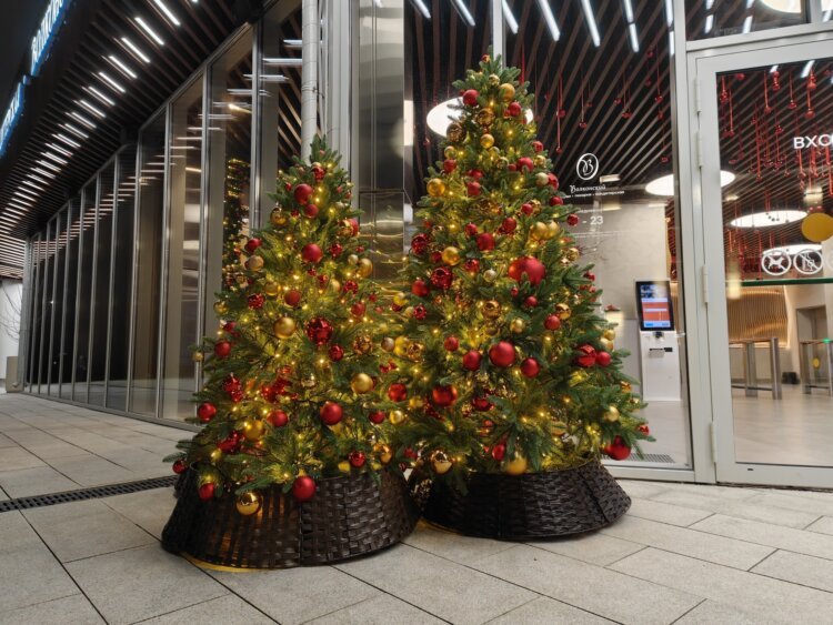 Как снимает realme GT 8 Pro. Флагман с амбициями камерофона. Съёмка при дневном освещении. Фото.