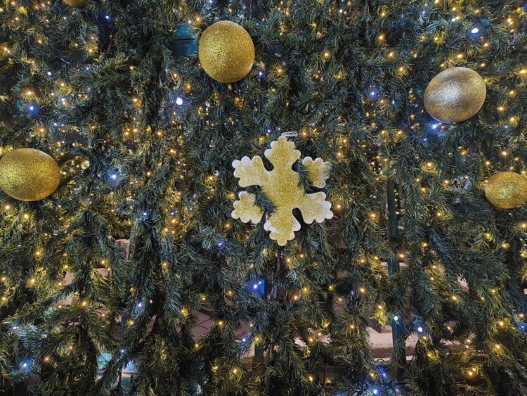 Как снимает realme GT 8 Pro. Флагман с амбициями камерофона. Примеры ночной съёмки. Фото.