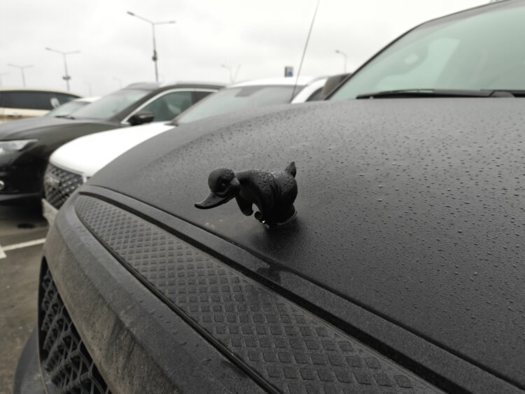 Как снимает realme GT 8 Pro. Флагман с амбициями камерофона. Съёмка при дневном освещении. Фото.