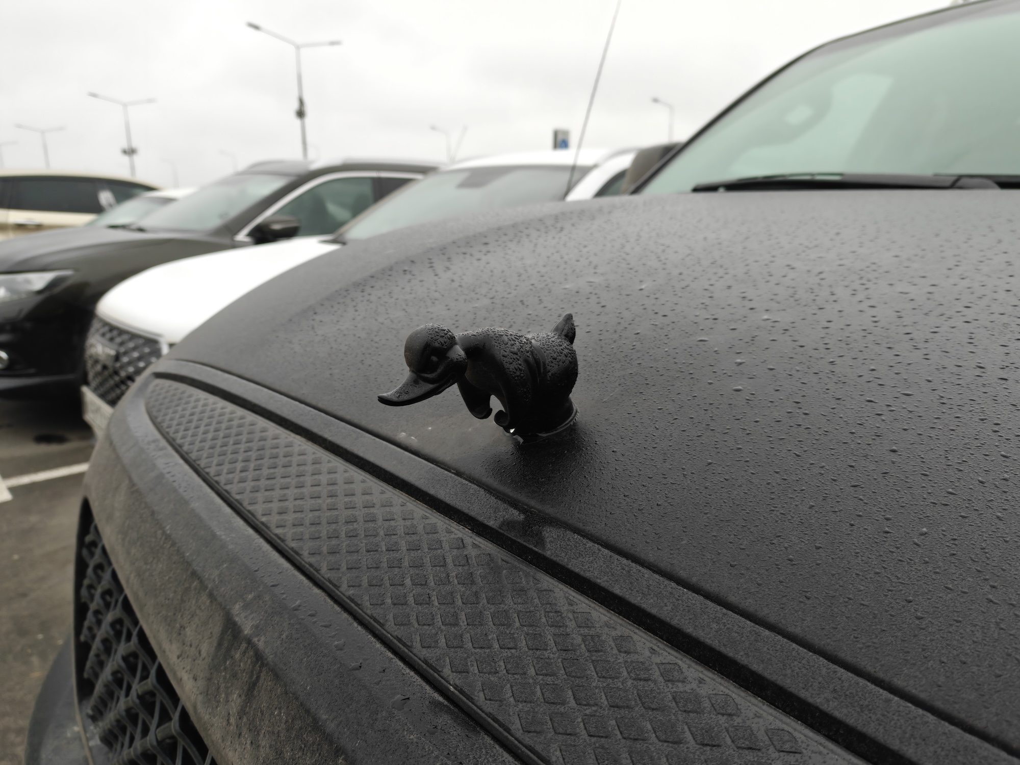 Этот смартфон меняет внешний вид, отлично снимает и долго работает. Обзор realme GT 8 Pro. Как снимает realme GT 8 Pro. Фото.