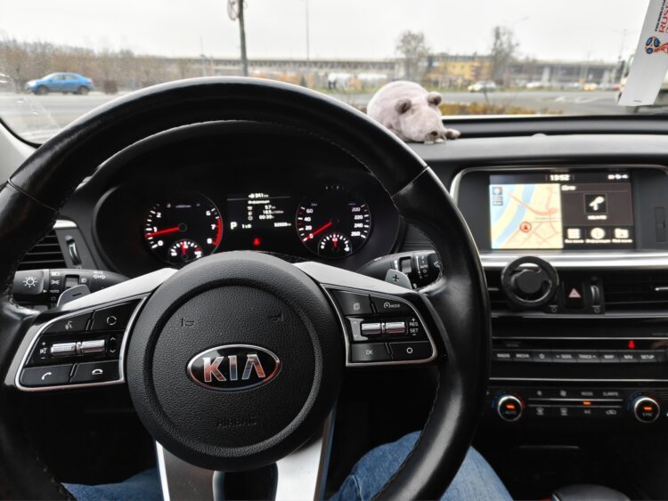 Как снимает realme GT 8 Pro. Флагман с амбициями камерофона. Съёмка при дневном освещении. Фото.