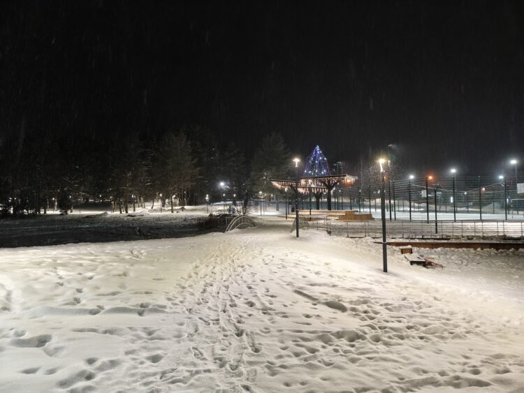 Как снимает камера POCO M8 Pro. Фото на основу (1х). Фото.