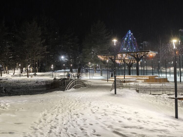 Как снимает камера POCO M8 Pro. Фото на основу (2х). Фото.