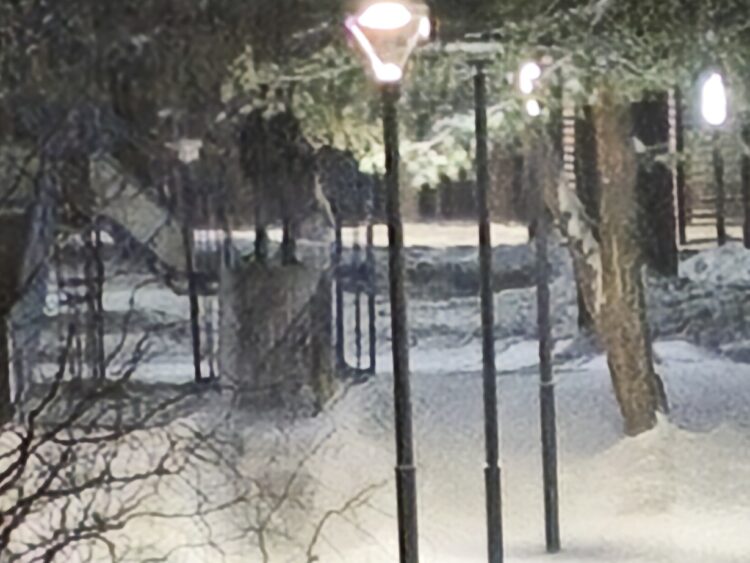 Как снимает камера POCO M8 Pro. Фото на основу (20х). Фото.