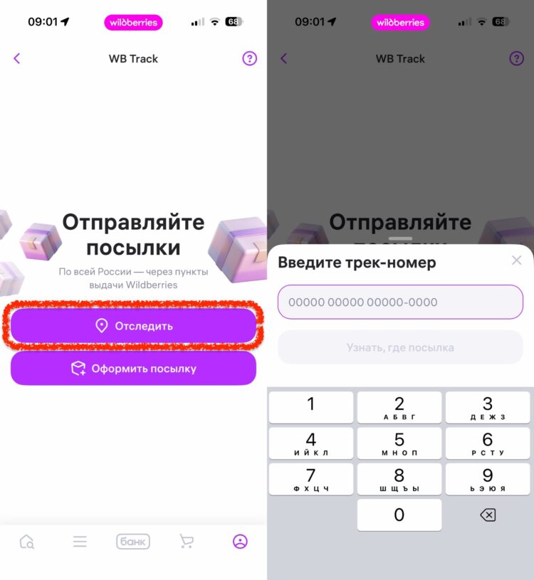 Сюда нужно ввести номер, который вам выдали при отправке. Фото.