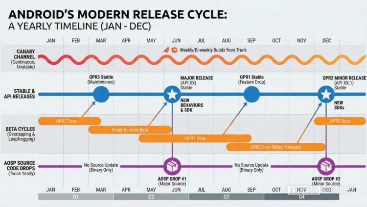 Когда выйдет бета-версия Android 17. Примерный график выхода Android 17. Изображение: androidauthority.com. Фото.
