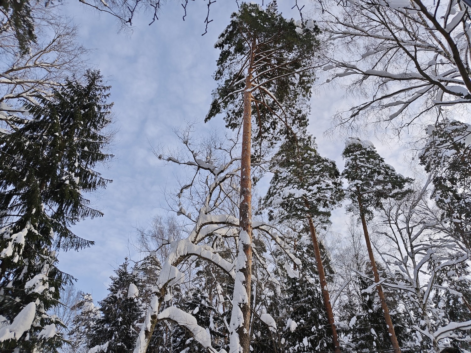 Мощный смартфон, а остальное компромиссы? Обзор POCO F8 Pro. Как снимает POCO F8 Pro. Мощный смартфон, а остальное компромиссы? Обзор POCO F8 Pro. Как снимает POCO F8 Pro. Фото.