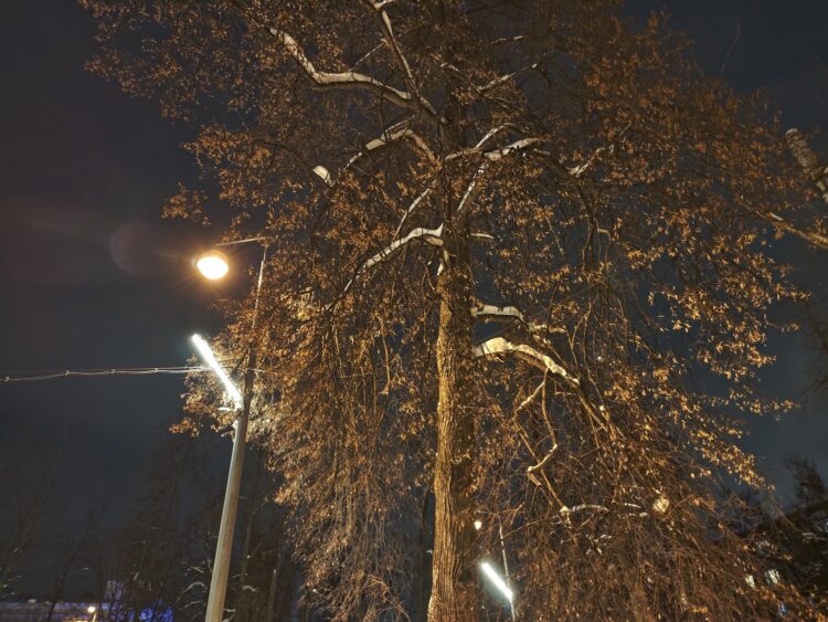 Мощный смартфон, а остальное компромиссы? Обзор POCO F8 Pro. Как снимает POCO F8 Pro. Фото.