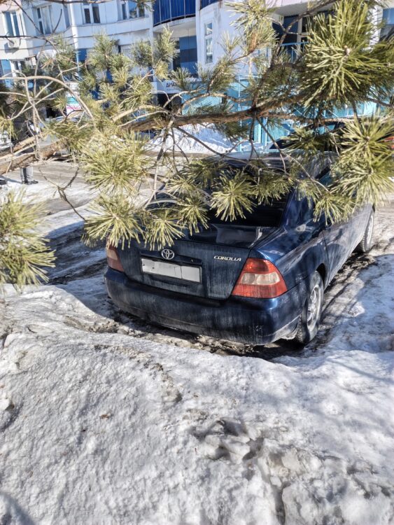 Камера в Infinix Note Edge. При ярком солнце кадры получаются отличными. Фото.