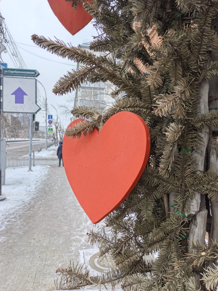 Камера в Infinix Note Edge. Цвет сердечка передал точно. Фото.