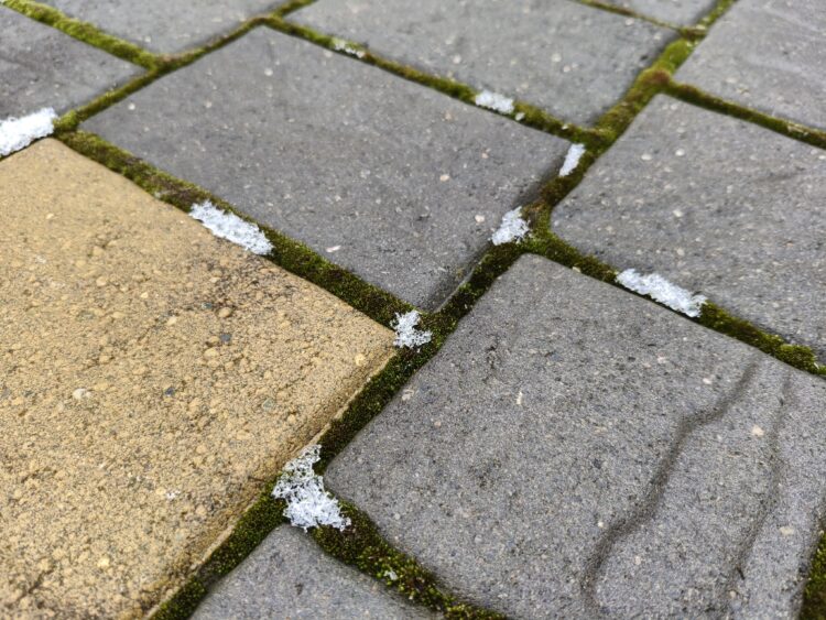 Подробный обзор POCO X8 Pro: если бы Apple занялась выпуском недорогих смартфонов на базе Android. Как снимает камера POCO X8 Pro. Фото.