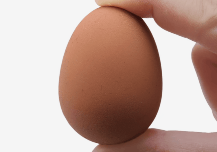 Резиновые яйца. Изображение: AliExpress. Фото.