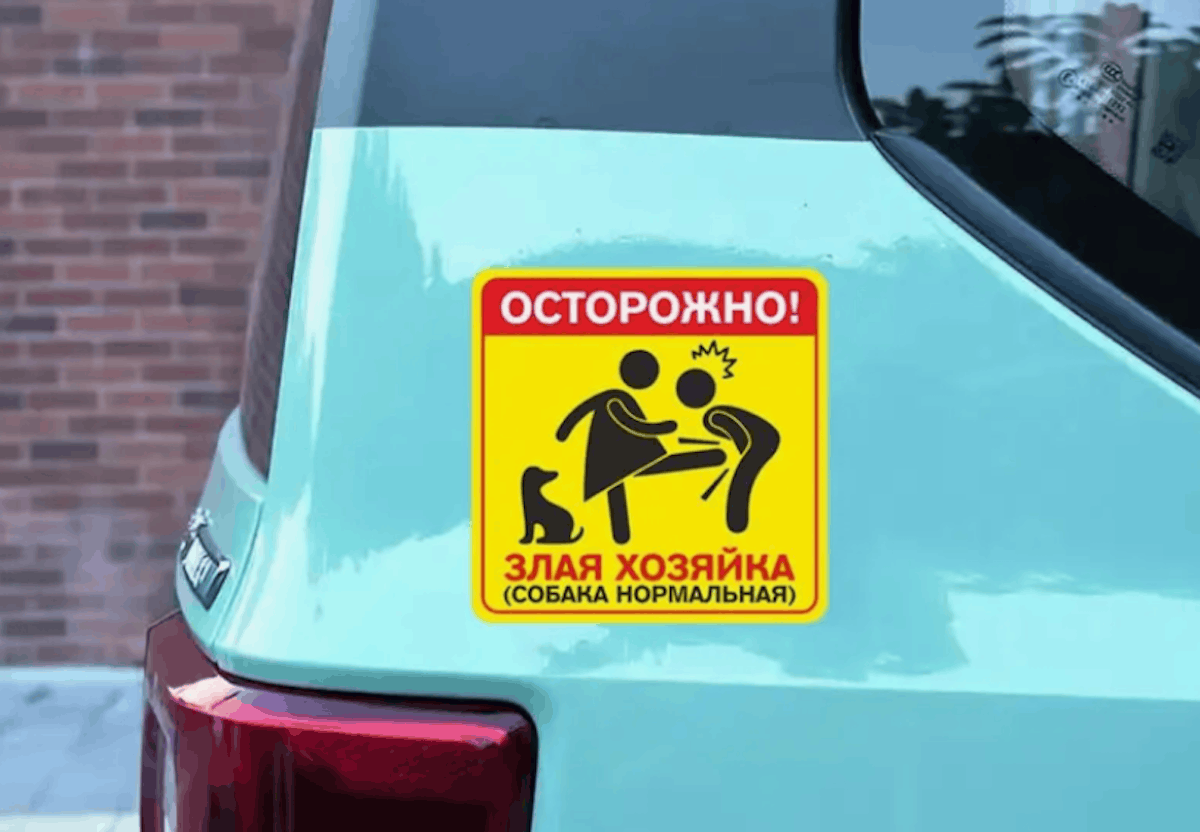 Наклейка со злой хозяйкой. Изображение: AliExpress. Фото.