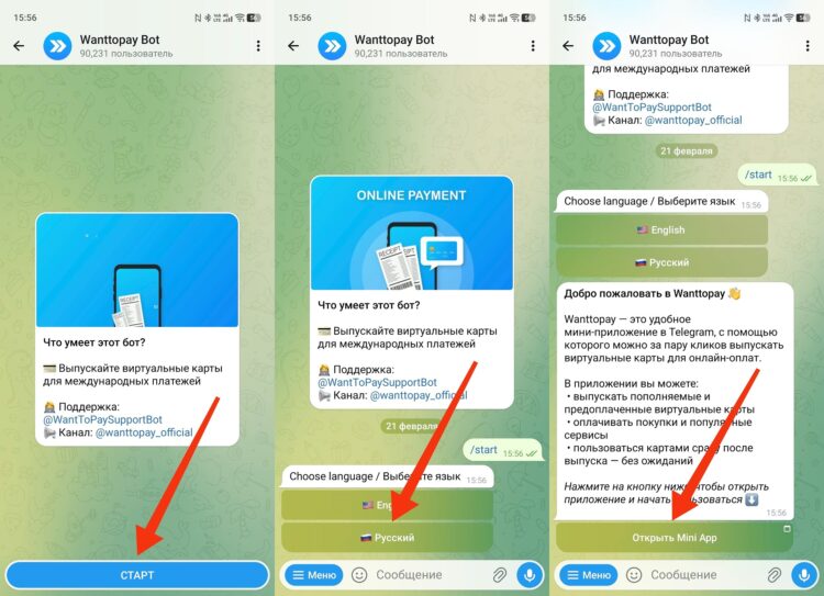 Как оформить виртуальную карту Wanttopay. Карту можно открыть через телеграм-бота. Фото.