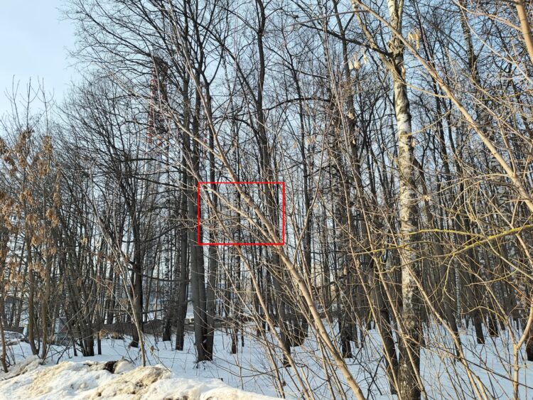 Съемка при дневном свете — тут все отлично. Оригинальный снимок. Кстати, его разрешение 16384х12288 пикселей, а размер около 130 МБ (примерно в 35 раз больше обычного снимка). Съемка при дневном свете — тут все отлично. Оригинальный снимок. Кстати, его разрешение 16384х12288 пикселей, а размер около 130 МБ (примерно в 35 раз больше обычного снимка). Фото.