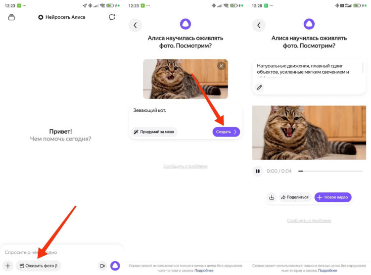 Оживление фото Алисой. Можно даже оживить фото. Фото.
