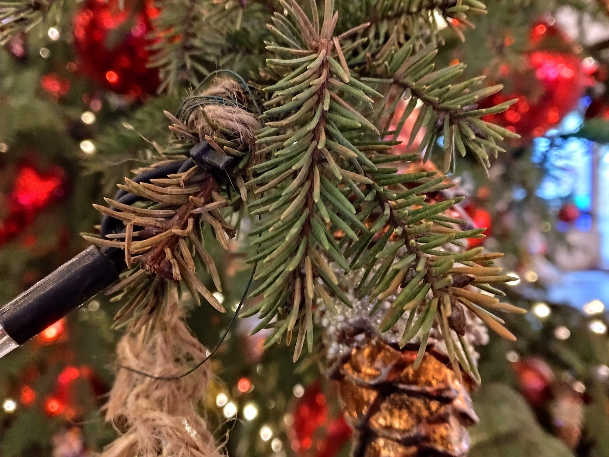 Сравнение камер Redmi Note 15 и realme C85. realme C85. Фото.