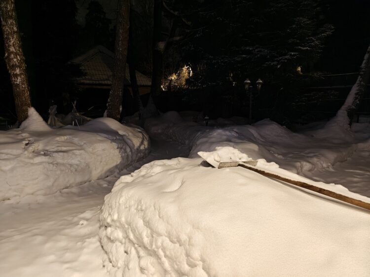 Как снимает realme 16 Pro+. Смартфон для портретов с телевиком и красивым корпусом. Съемка при дневном свете — тут все отлично. Как снимает realme 16 Pro+. Смартфон для портретов с телевиком и красивым корпусом. Съемка при дневном свете — тут все отлично. Фото.