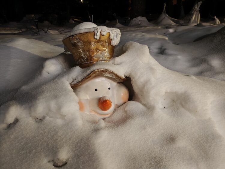 Как снимает realme 16 Pro+. Смартфон для портретов с телевиком и красивым корпусом. Фронтальная камера и ночная съемка. Как снимает realme 16 Pro+. Смартфон для портретов с телевиком и красивым корпусом. Фронтальная камера и ночная съемка. Фото.