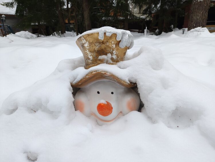 Как снимает realme 16 Pro+. Смартфон для портретов с телевиком и красивым корпусом. Съемка при дневном свете — тут все отлично. Как снимает realme 16 Pro+. Смартфон для портретов с телевиком и красивым корпусом. Съемка при дневном свете — тут все отлично. Фото.