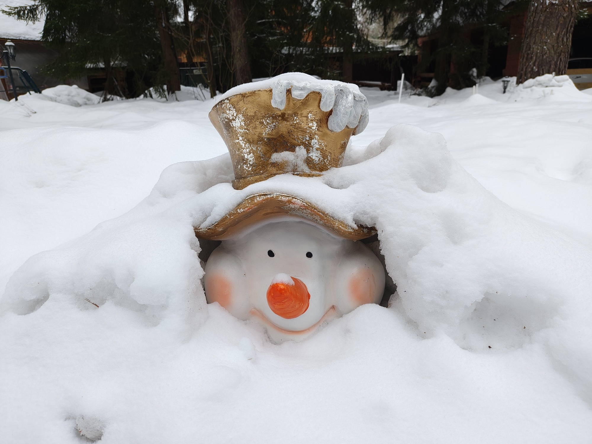 Как снимает realme 16 Pro+. Смартфон для портретов с телевиком и красивым корпусом. Съемка при дневном свете — тут все отлично. Как снимает realme 16 Pro+. Смартфон для портретов с телевиком и красивым корпусом. Съемка при дневном свете — тут все отлично. Фото.