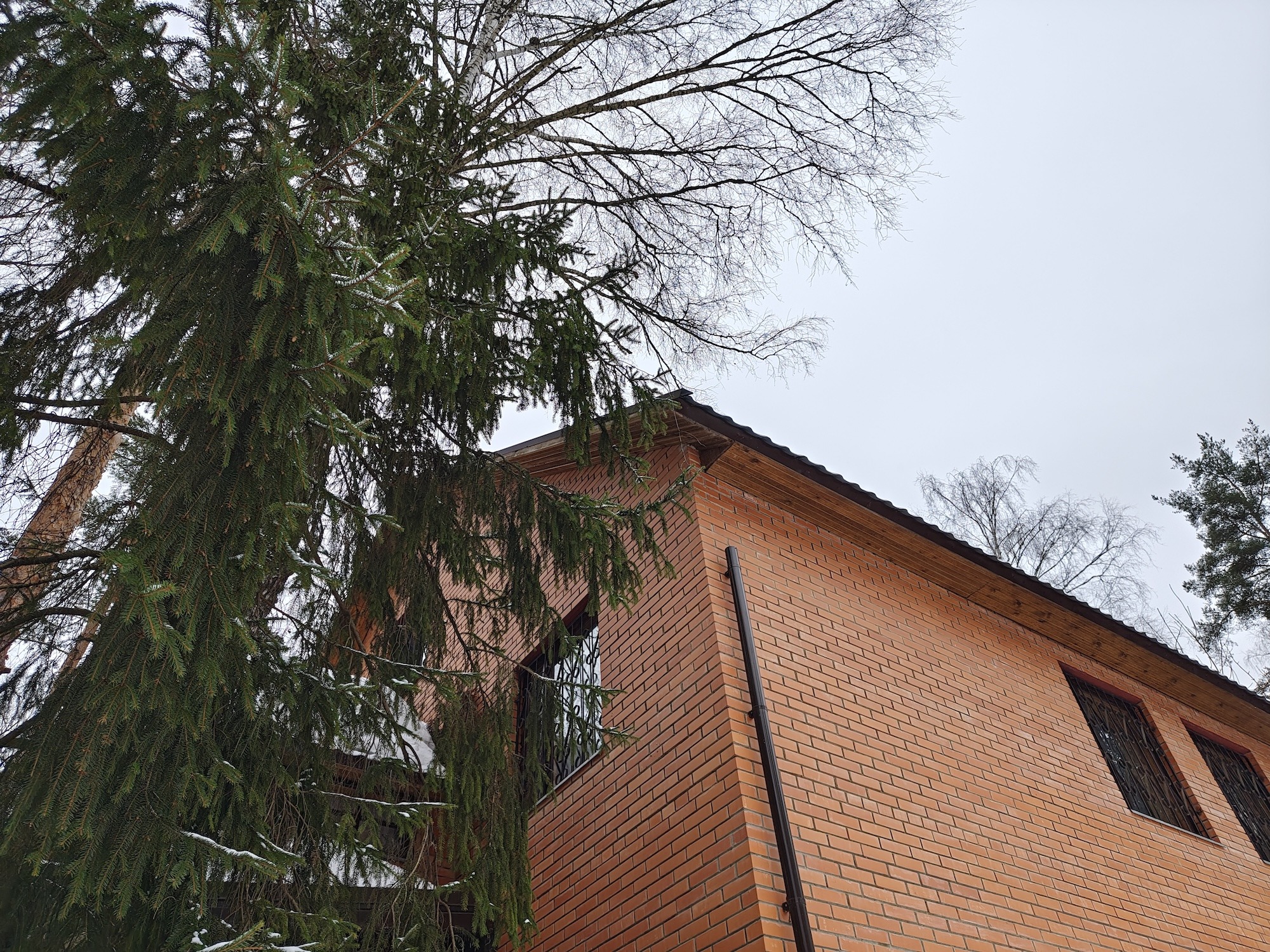 Как снимает realme 16 Pro+. Смартфон для портретов с телевиком и красивым корпусом. Съемка при дневном свете — тут все отлично. Как снимает realme 16 Pro+. Смартфон для портретов с телевиком и красивым корпусом. Съемка при дневном свете — тут все отлично. Фото.