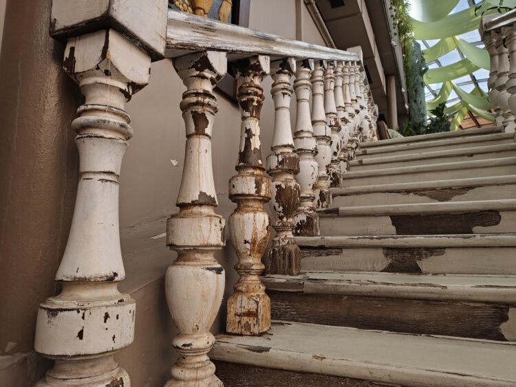 Как снимает realme 16 Pro+. Смартфон для портретов с телевиком и красивым корпусом. Съемка при дневном свете — тут все отлично. Как снимает realme 16 Pro+. Смартфон для портретов с телевиком и красивым корпусом. Съемка при дневном свете — тут все отлично. Фото.