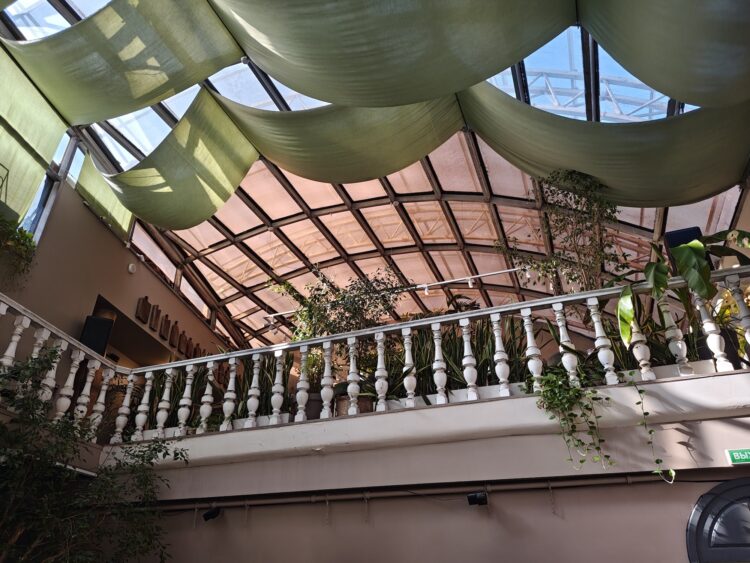 Как снимает realme 16 Pro+. Смартфон для портретов с телевиком и красивым корпусом. Съемка при дневном свете — тут все отлично. Как снимает realme 16 Pro+. Смартфон для портретов с телевиком и красивым корпусом. Съемка при дневном свете — тут все отлично. Фото.