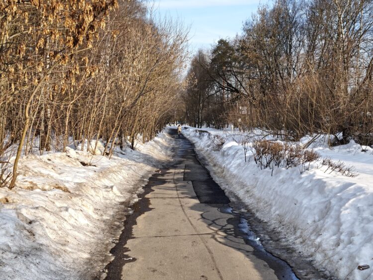 Как снимает телевик на смартфоне realme. 2x. Как снимает телевик на смартфоне realme. 2x. Фото.