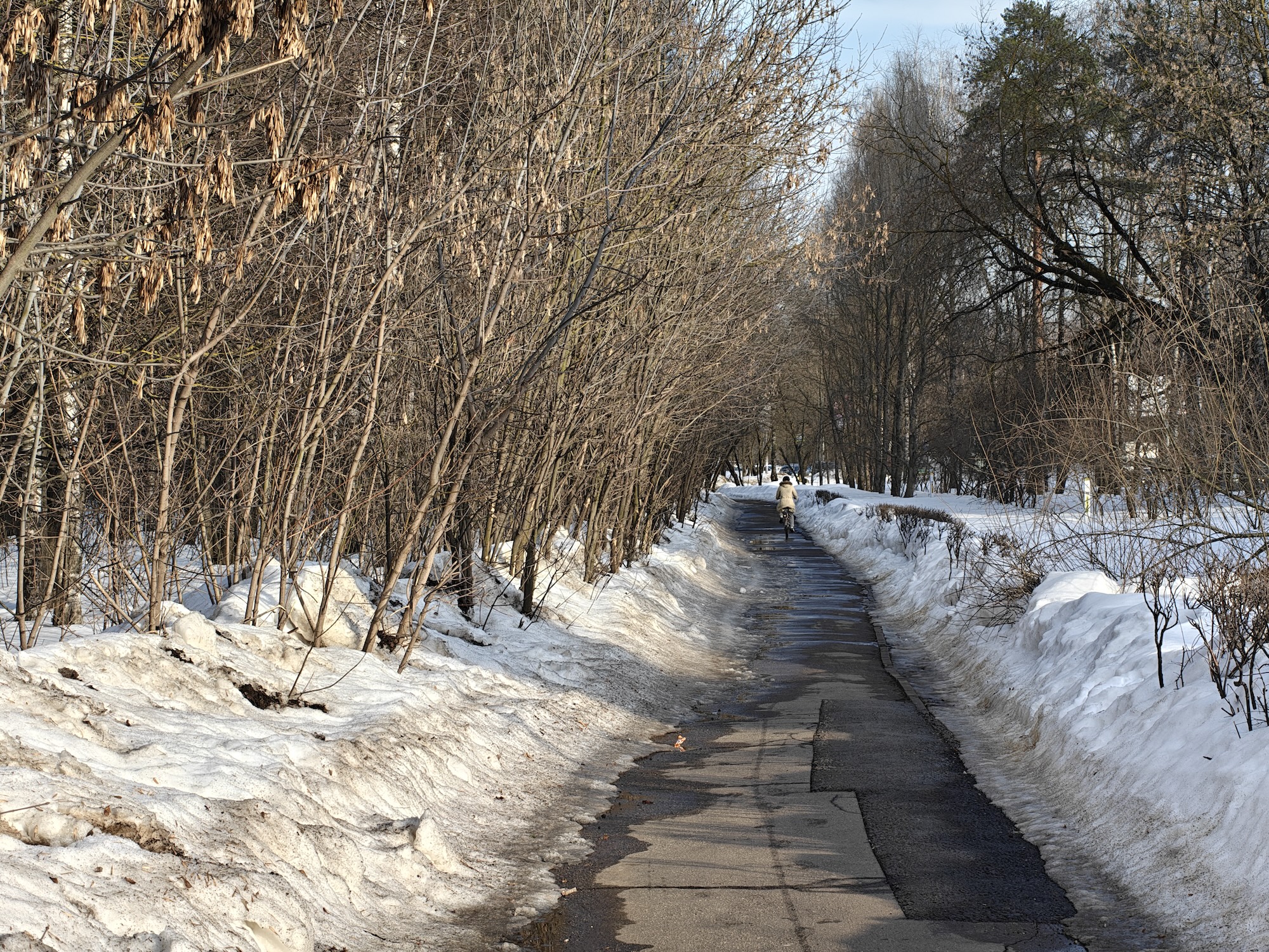 Как снимает телевик на смартфоне realme. 3.5x. Как снимает телевик на смартфоне realme. 3.5x. Фото.