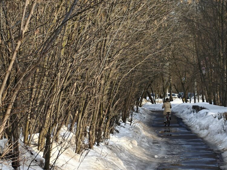 Как снимает телевик на смартфоне realme. 20x. Как снимает телевик на смартфоне realme. 20x. Фото.