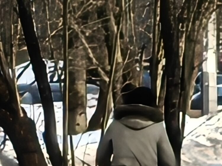 Как снимает телевик на смартфоне realme. 100x. Как снимает телевик на смартфоне realme. 100x. Фото.