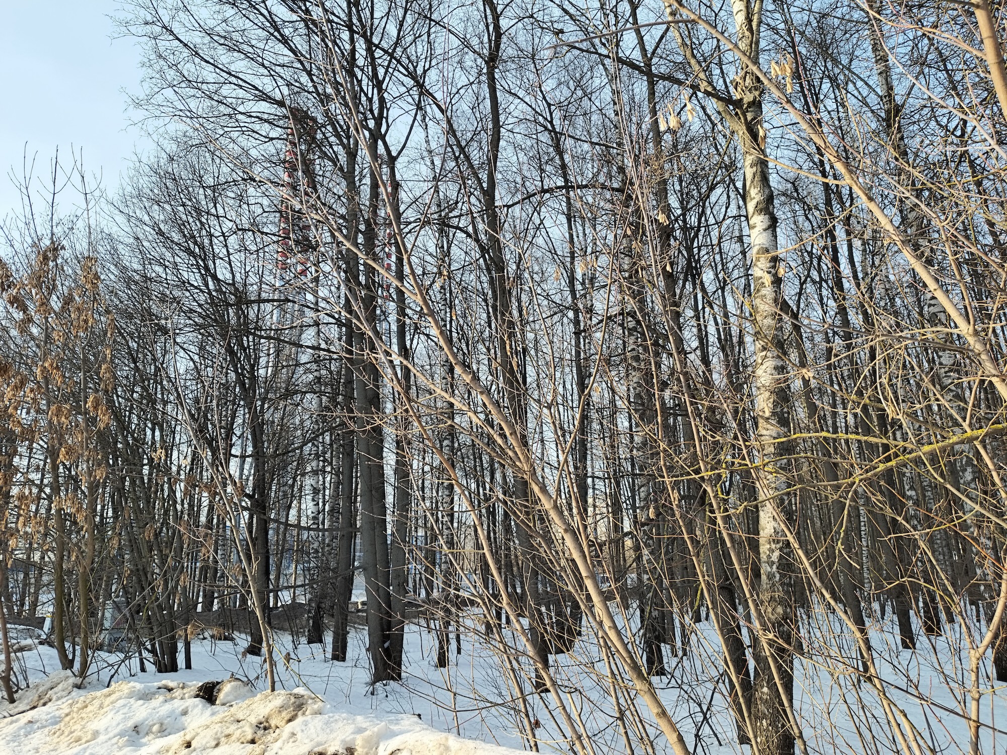 Как снимает realme 16 Pro+. Смартфон для портретов с телевиком и красивым корпусом. Съемка при дневном свете — тут все отлично. Как снимает realme 16 Pro+. Смартфон для портретов с телевиком и красивым корпусом. Съемка при дневном свете — тут все отлично. Фото.