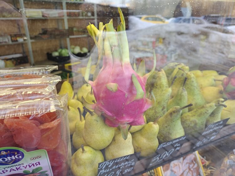 Как снимает realme 16 Pro+. Смартфон для портретов с телевиком и красивым корпусом. Съемка при дневном свете — тут все отлично. Как снимает realme 16 Pro+. Смартфон для портретов с телевиком и красивым корпусом. Съемка при дневном свете — тут все отлично. Фото.